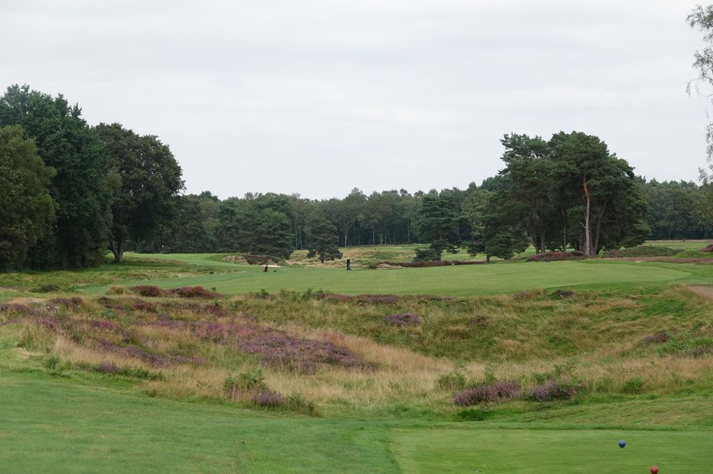 16th Hole at Walton Heath Golf Club (Old) (535 Yard Par 5)
